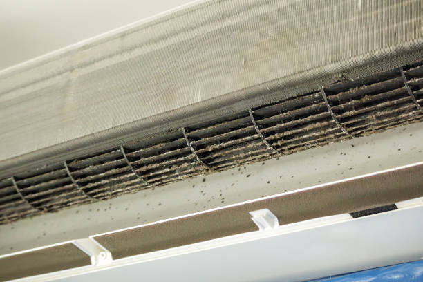Best Dryer Vent Cleaning Services  in Boiling Springs, SC